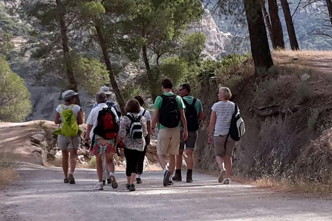Dayhikes with pick-up from Marbella and Estepona - What you might see: butterflies, deer, turtles, cork trees, and more