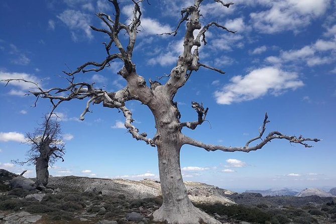 Dayhikes with pick-up from Marbella and Estepona - Small-group pacing: how max 8 changes the feel