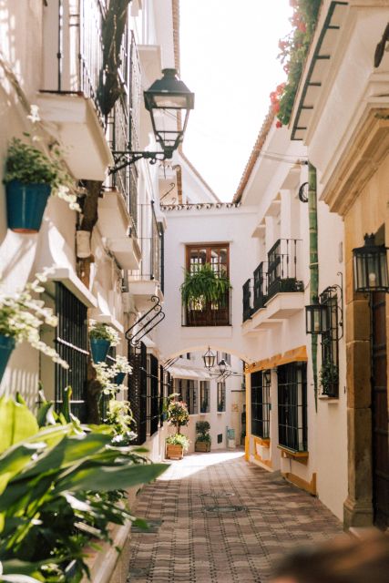 Discover Marbella's Old Town with five-star private tour - D·OLIVA Marbella Aceites de Oliva Premium and the Olive Oil Tasting