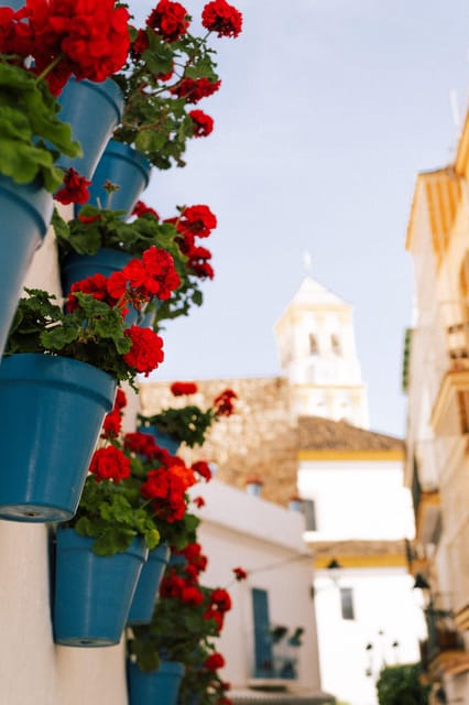 Discover Marbella's Old Town with five-star private tour - Meeting at Fuente Virgen del Rocío in Alameda Park