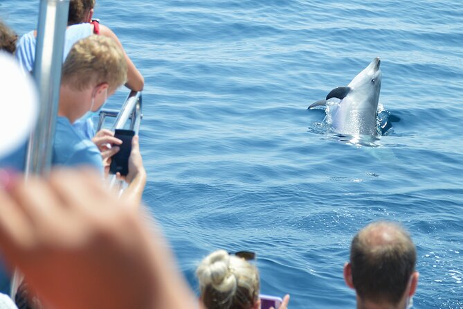 Dolphin Sightseeing Boat Tour from Benalmadena - Snacking, Drinks, Toilets, and the Comfort Stuff That Matters
