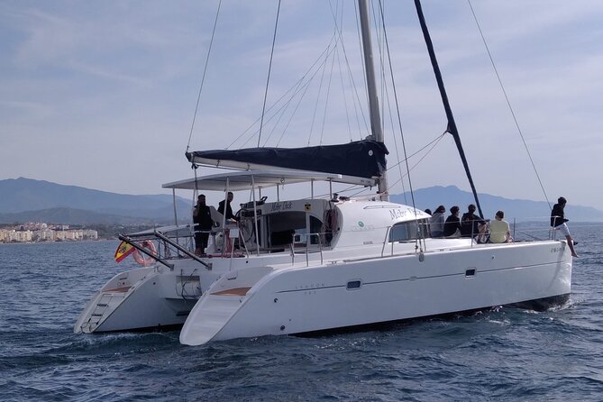 Dolphin trips on a catamaran - Swimming in high seas: fun, but bring your basics
