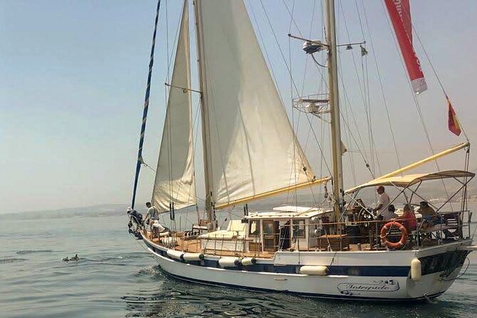 Dolphin Watching Adventure in Estepona Bay - Sailing Estepona Bay on Velero Intrepido (Not a Big Cruise)