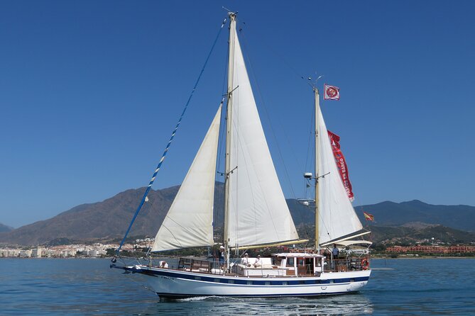 Dolphin Watching Adventure in Estepona Bay - Dolphin Watching Is the Goal, But Wild Means Not Guaranteed