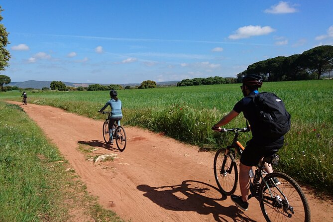 e-Bike (Self-Guided) & Winery tour - 20km Easy - Getting Going at the 10:00 am Meeting Point (and Why It Matters)
