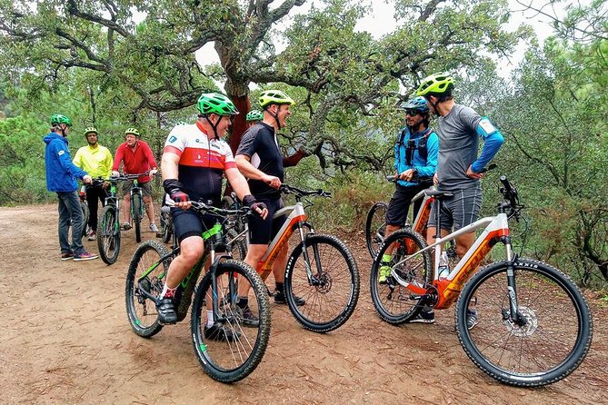 E-Mountain Bike & Wine Tour from Marbella to Sierra Blanca - Off-Road Reality Check: Moderate Fitness, Real Terrain