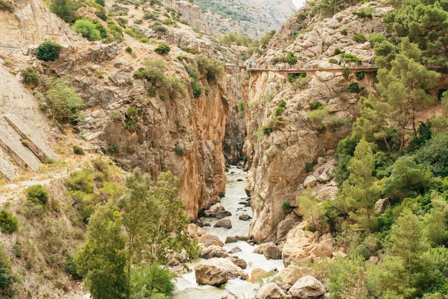 El Chorro: Caminito del Rey Guided Tour with Shuttle Bus - Price and value, what $44 really buys you