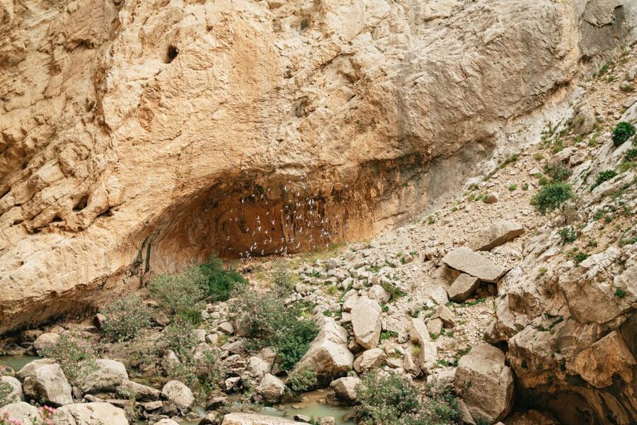 El Chorro: Caminito del Rey Guided Tour with Shuttle Bus - Timing and pacing, how to plan the rest of your day