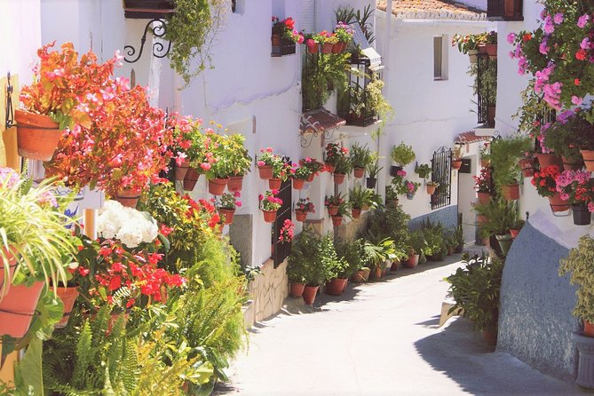 El Saltillo Gorge and White Village Hiking Tour from Malaga - First Step: Malaga Van Pickup to the White Village Start