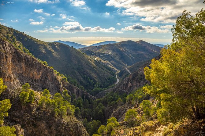El Saltillo Gorge and White Village Hiking Tour from Malaga - Price and Value: Is $66.26 Worth a 6-Hour Day?