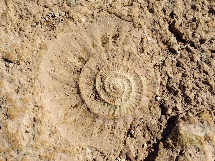 El Torcal de Antequera Hike with Transfer - The Ammonites Route walk: 4.5 km of rocky terrain and big viewpoints
