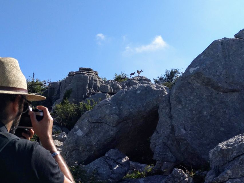 El Torcal de Antequera Hike with Transfer - Your guide’s job: making the geology feel real (and not like a lecture)