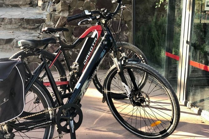 Electric Bike Rental in Malaga - The big ride opener: climbing via Gibralfaro forest to hilltop viewpoints