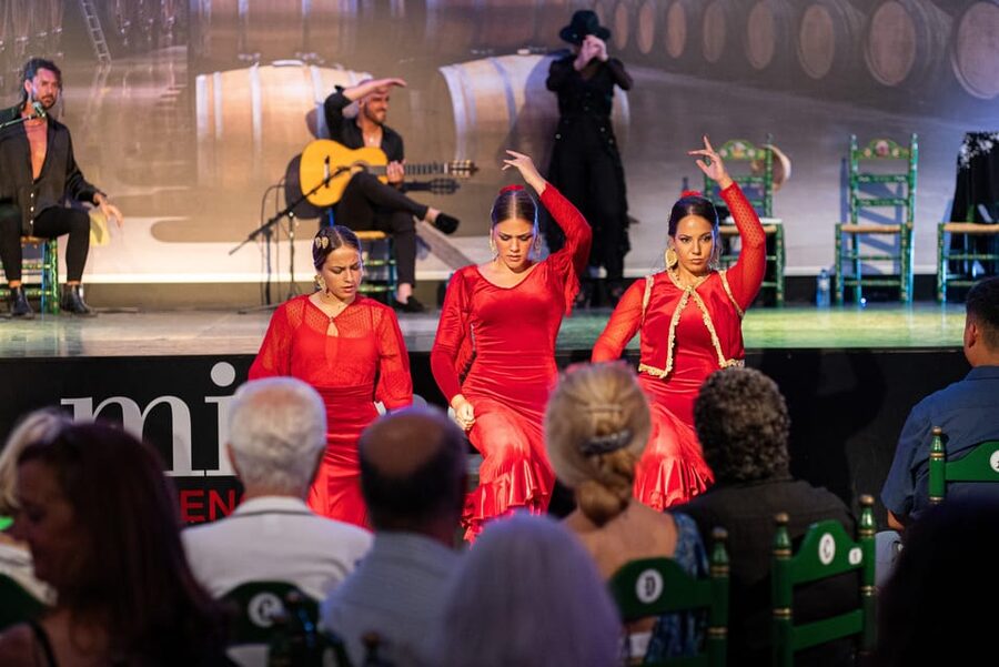 Estepona: Andalusian Flamenco Show Entry Ticket with Drink - Key reasons this flamenco night works in Estepona