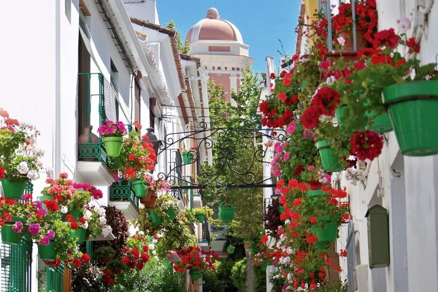 Estepona best kept secrets: City bike guided tour - Two hours in Estepona: how the ride is structured and why it works