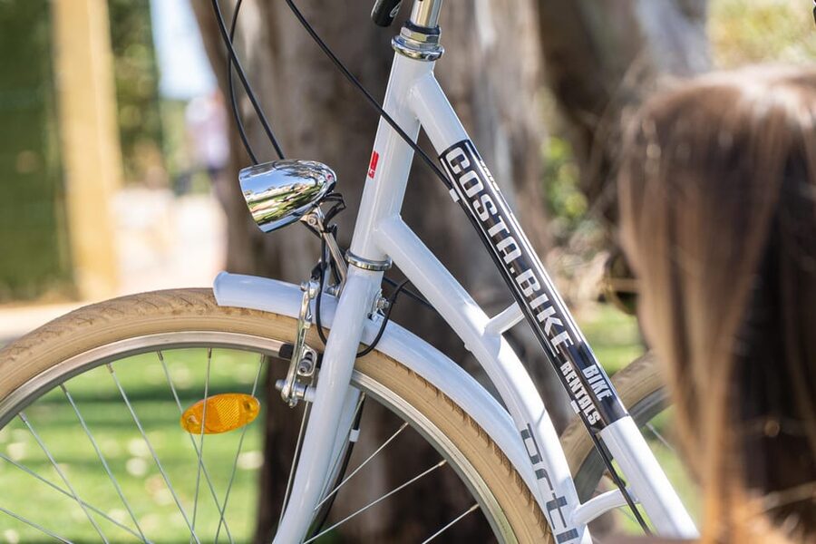Estepona best kept secrets: City bike guided tour - Cost and value: $23 for 2 hours, with more than just a ride