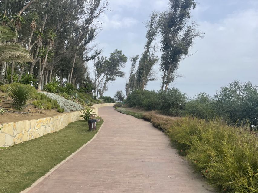 Estepona Bike Tour - Price and Value: Is $105 Worth It for 3 Hours?