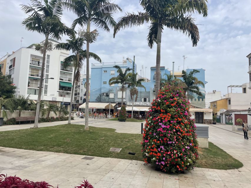 Estepona Bike Tour - Why Estepona Feels Made for a Bike Tour