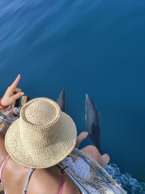 Estepona: Dolphin Search Boat Trip with Drink and Snacks - Price and value: about $44 per person for a complete 2-hour package