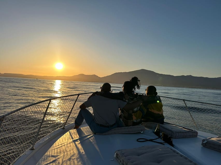 Estepona: Dolphin Searching Sunset Cruise with Drink & Snack - Key Points at a Glance