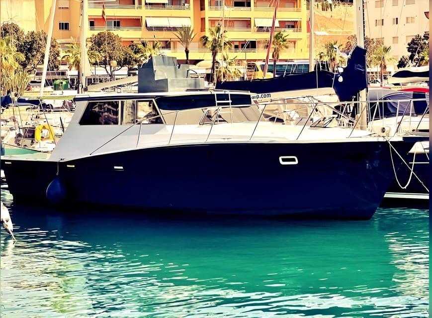 Estepona: Dolphin Searching Sunset Cruise with Drink & Snack - Price and Value for a 2-Hour Estepona Evening