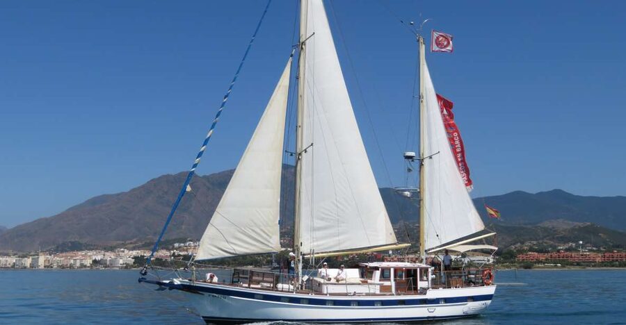Estepona: Dolphin Watching Sailboat Cruise with Drink - Getting to Puerto de Estepona and finding the Intrépido