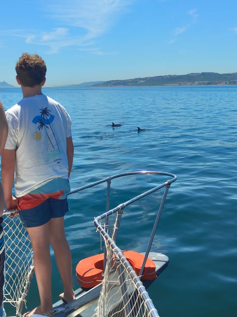 Estepona: Dolphins Searching Sea Cruise with Drink & Snacks - Snacks, one drink, and how to judge the $41 value