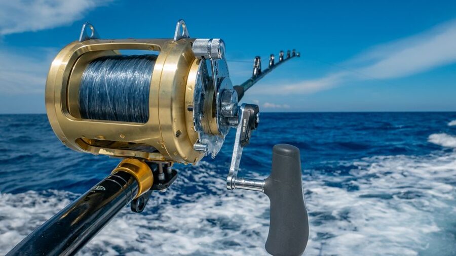 Estepona: Fishing Tour StartFisher 1060 - The vibe: a Costa del Sol fishing trip that actually lets you fish