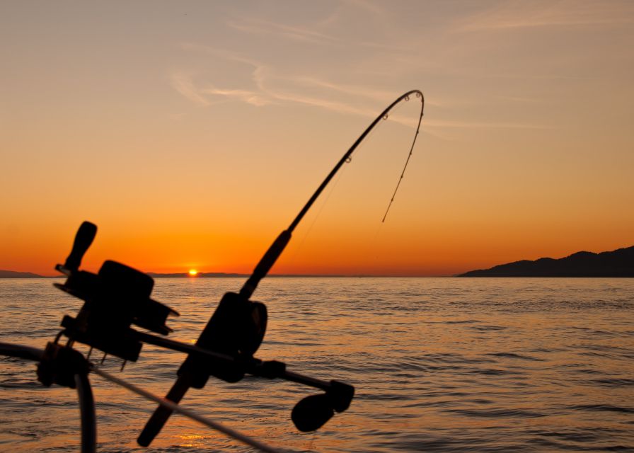 Estepona: Fishing Tour StartFisher 1060 - How the 2 to 4 hours tend to play out on the water