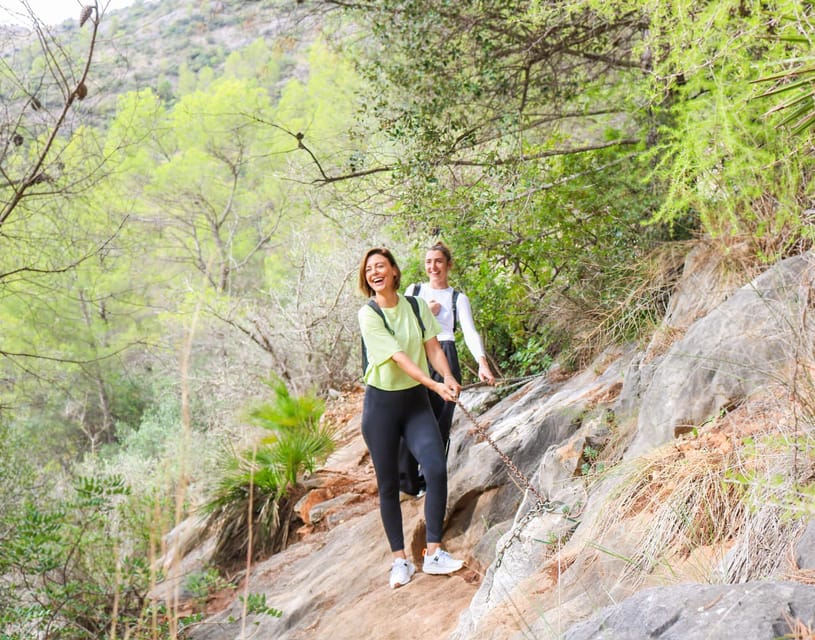 Explore Marbella's Nature: Guided Hiking And Foraging Trip - What this Marbella hiking and foraging trip really delivers