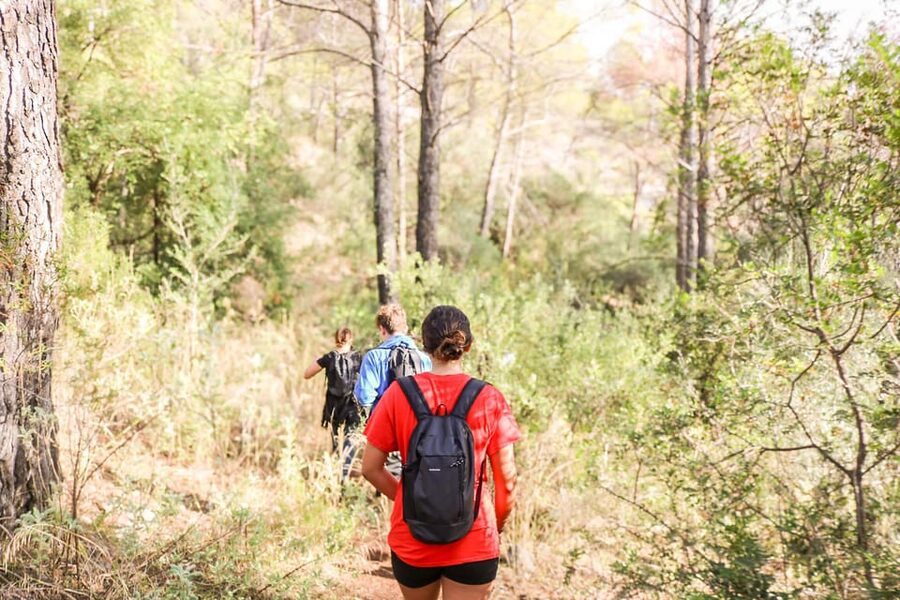 Explore Marbella's Nature: Guided Hiking And Foraging Trip - The hermitage ruins: why this stop feels different