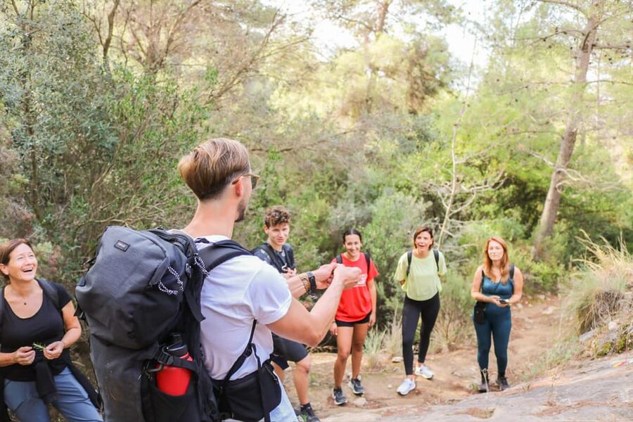 Explore Marbella's Nature: Guided Hiking And Foraging Trip - Group schedule and who it fits best