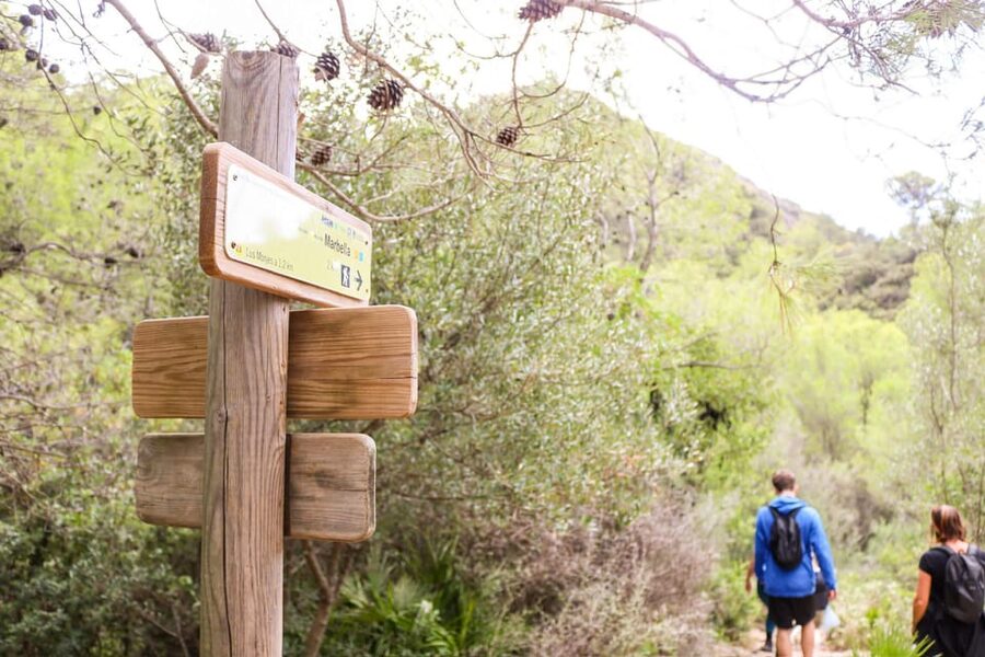 Explore Marbella's Nature: Guided Hiking And Foraging Trip - Price and value: is $33 a good deal here?
