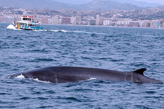Ferry Benalmádena <> Fuengirola - What you see near Benalmádena, stop by stop
