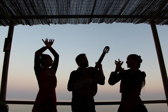 Flamenco and Outdoor Grill Evening (Guadalmina) - What the outdoor grill dinner is really like