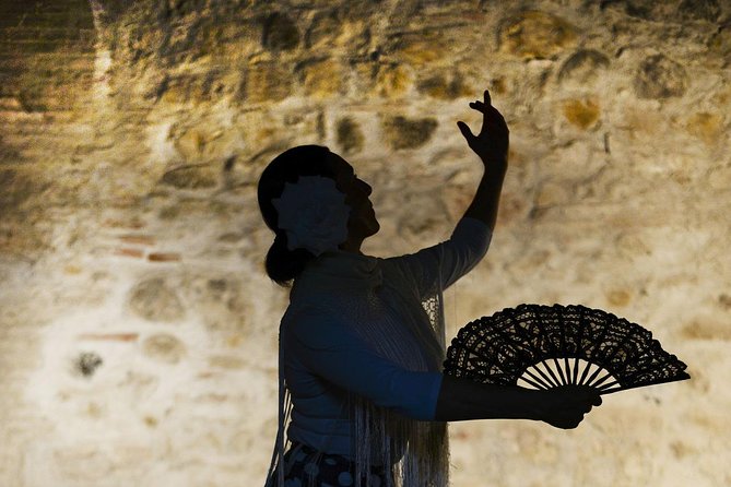 Flamenco, Tapas and Wine Tour: Best of Málaga in one Evening - Meeting Point to Finish Line: Alameda Principal to Plaza de las Flores