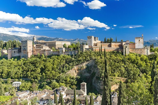 For Cruise Passengers ONLY: Granada and Alhambra from Malaga Port - Meeting Your Guides: Bus Stories and Palace Narrators