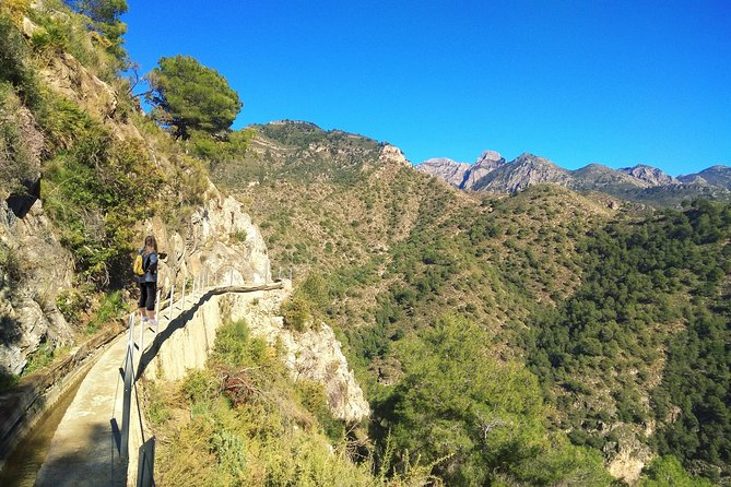 Frigiliana Small-Group Hike and Wine Tasting Tour from Malaga - Key highlights I’d circle first