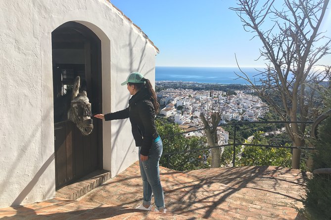 Frigiliana Small-Group Hike and Wine Tasting Tour from Malaga - How hard is it really? Easy walking, one water moment, and height care