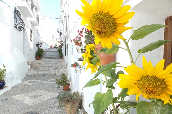 Frigiliana Small-Group Hike and Wine Tasting Tour from Malaga - Wine tasting in a cellar: the calm ending to a scenic morning