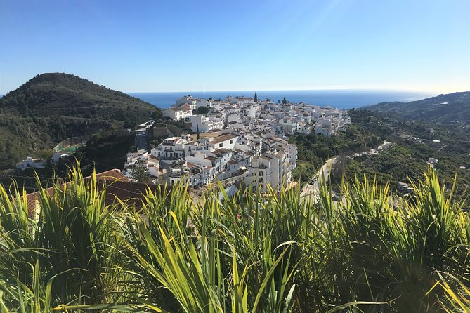Frigiliana Small-Group Hike and Wine Tasting Tour from Malaga - The hike route: avocados, the Higueron gorge, and an Arab irrigation canal