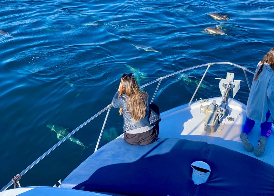 From Benalmádena & Torremolinos: Dolphin Watch Boat Trip - Why Benalmádena is a smart starting point for dolphins