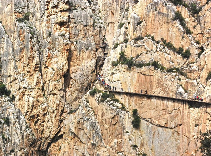 From Costa del Sol: Caminito del Rey Day Trip - Key points to know before you go