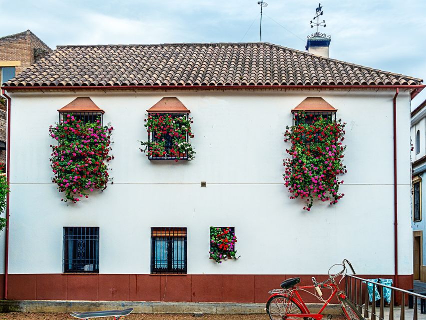 From Costa del Sol: Day Trip to Cordoba Free Time - Comfort and Small Reality Checks