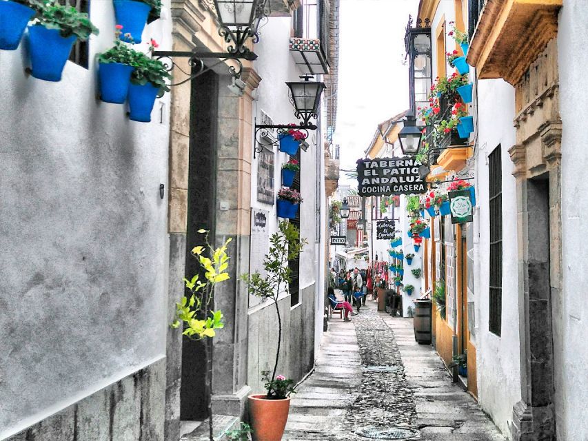 From Costa del Sol: Day Trip to Cordoba Free Time - A Day Trip That Lets You Actually Roam Córdoba