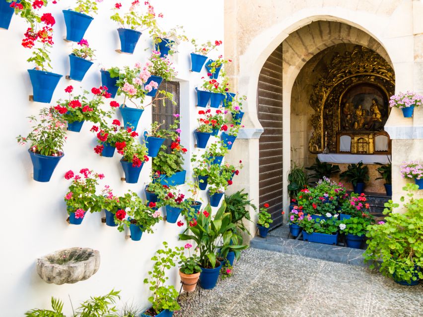 From Costa del Sol: Day Trip to Cordoba Free Time - Córdoba Free Time: Your 5 Hours to Follow Your Curiosity