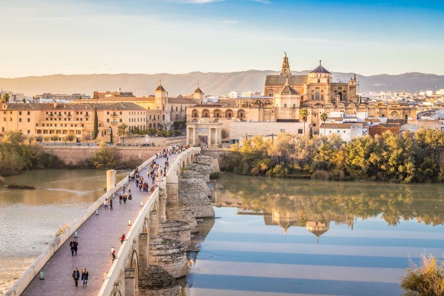 From Costa del Sol: Day Trip to Cordoba Free Time - Food on Your Schedule: What to Eat in Córdoba