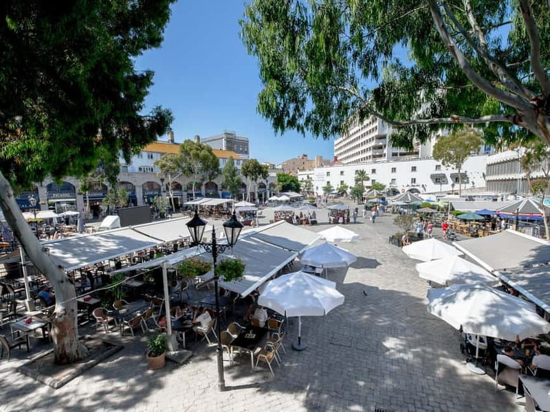 From Costa del Sol: Gibraltar Day Trip with Free Time - Rock Add-Ons and What Not to Assume About Tickets