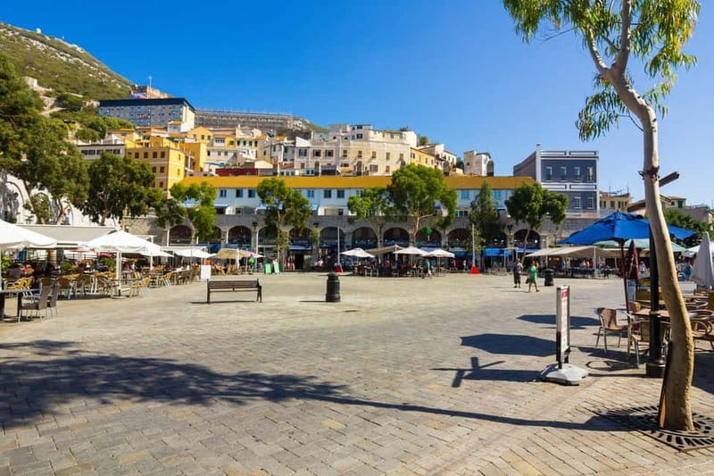 From Costa del Sol: Gibraltar Day Trip with Free Time - What Pickup and Drop-Off Feels Like in Real Life