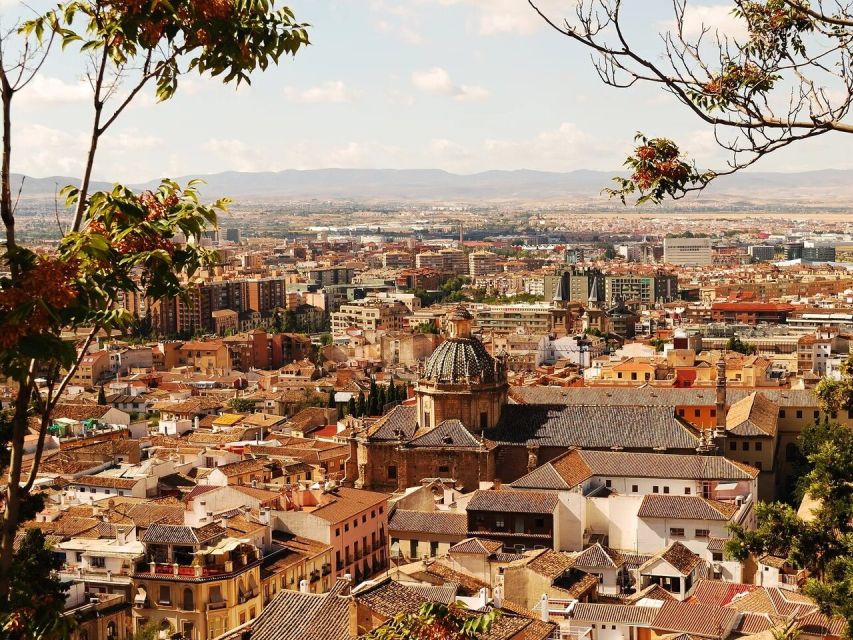 From Costa del Sol: Granada Day Trip Free Time 5h - Quick takeaways before you go
